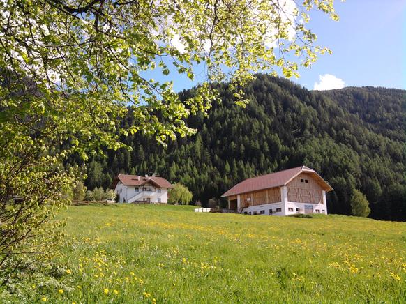 Ferienwohnung für 7 Personen, mit Hund in Sankt Lorenzen in Südtirol